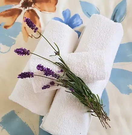 Apartamento Ana
