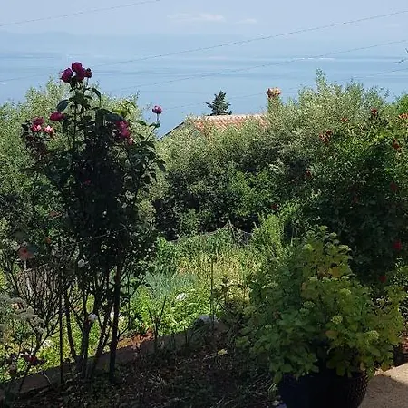 Ana Apartment